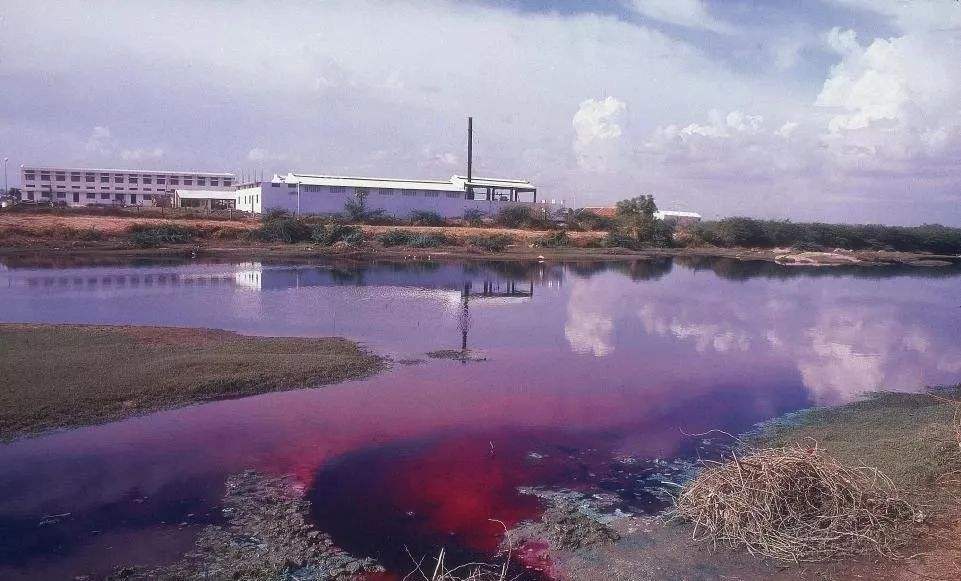 染料廢水檢測 染料廢水檢測