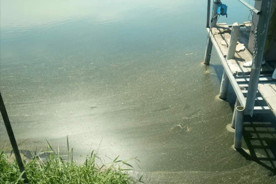 1654132312137972.png 氨氮3.png