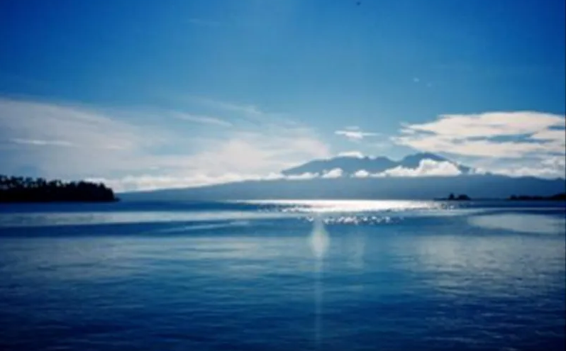 1658454128208331.png QQ截圖20220615095355.png