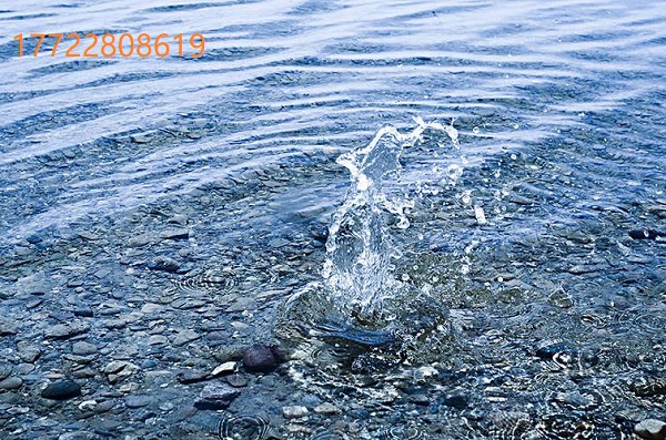 1699600289499031.jpeg f3e9e6ba49e436cfb8848bd2fad7e48a.jpeg