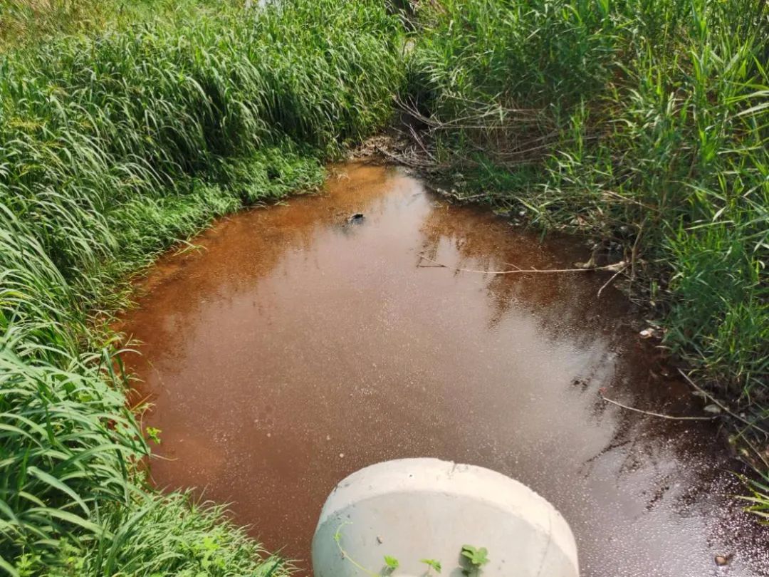 1699945947203098.jpg 1678412973828_0.jpg