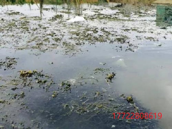 1700203576188872.jpeg 1700203576188872.jpeg