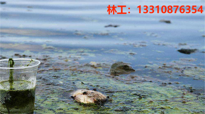 1705913515623525.png 3-200H3114319B6.png